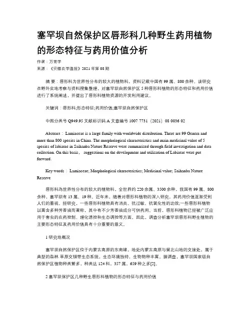 塞罕坝自然保护区唇形科几种野生药用植物的形态特征与药用价值分析