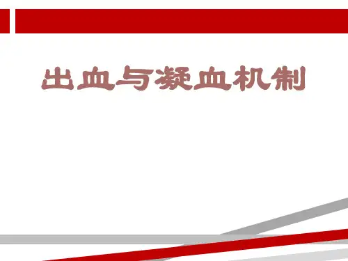 凝血机制.ppt