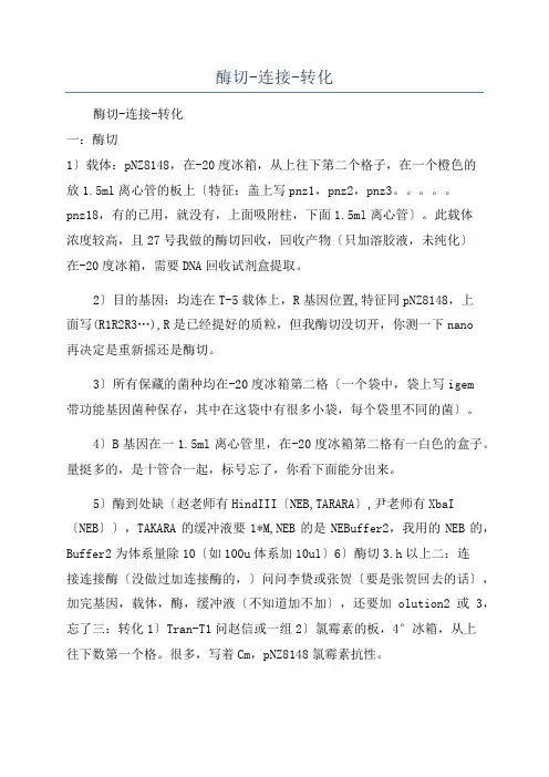 酶切-连接-转化
