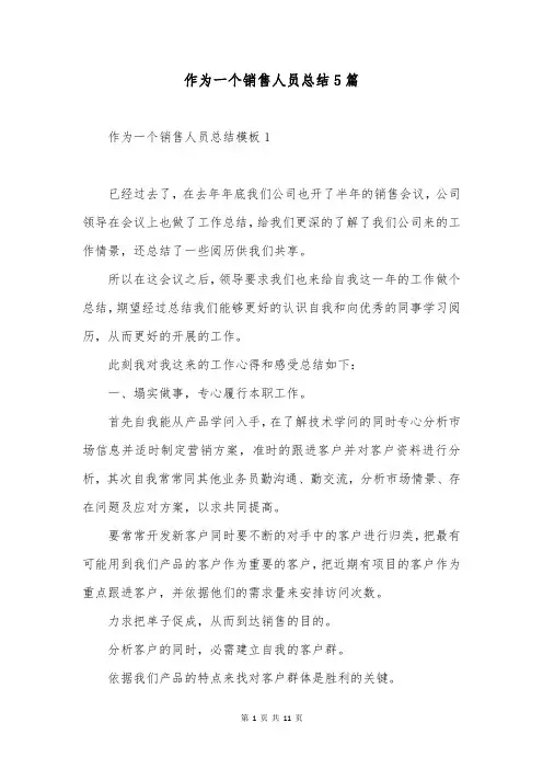 作为一个销售人员总结5篇