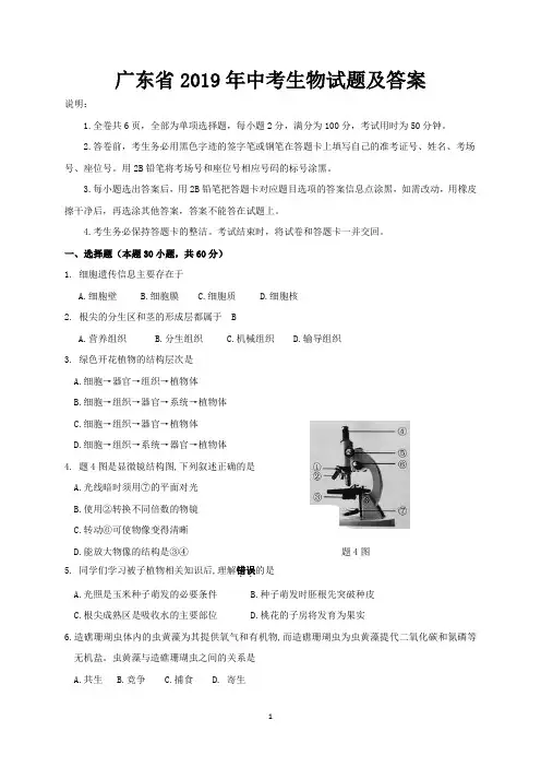 广东省2019年中考生物试题及答案