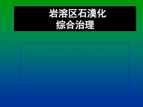 西南岩溶区石漠化综合治理