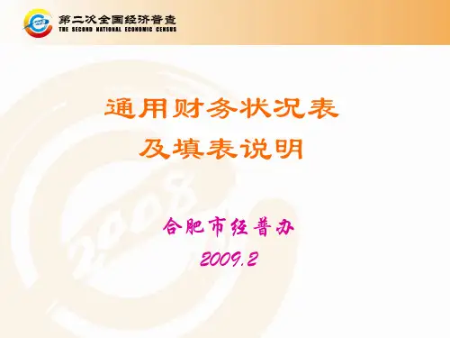 通用财务状况表及填表说明