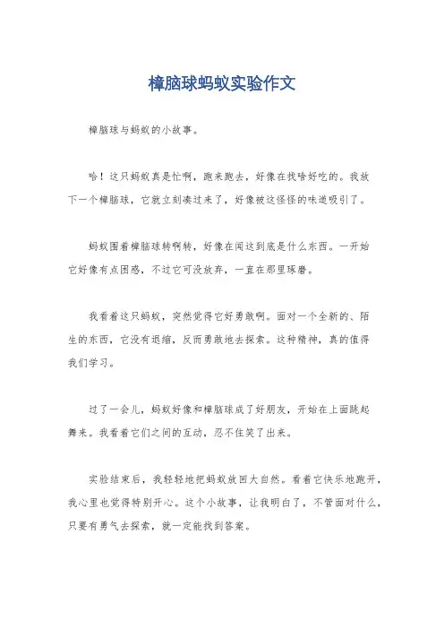 樟脑球蚂蚁实验作文