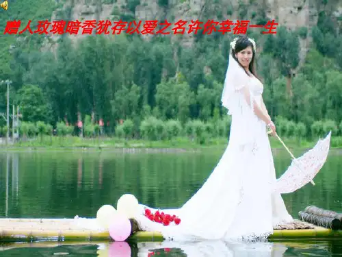 草坪婚礼策划书(PPT 37张)