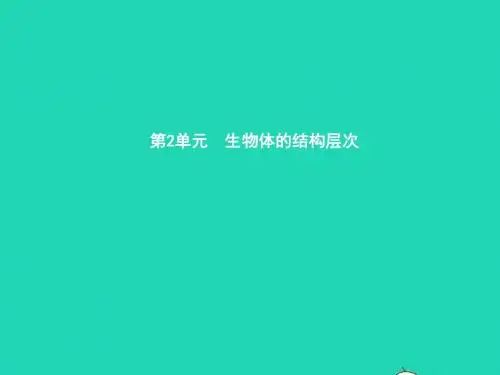 七年级生物上册2.3.1植物细胞的结构和功能习题课件(新版)苏教版