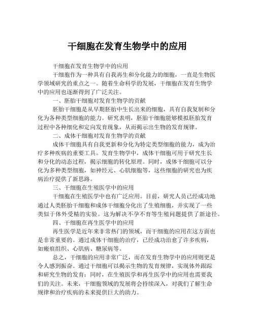 干细胞在发育生物学中的应用