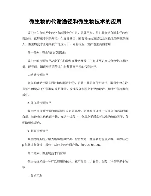 微生物的代谢途径和微生物技术的应用