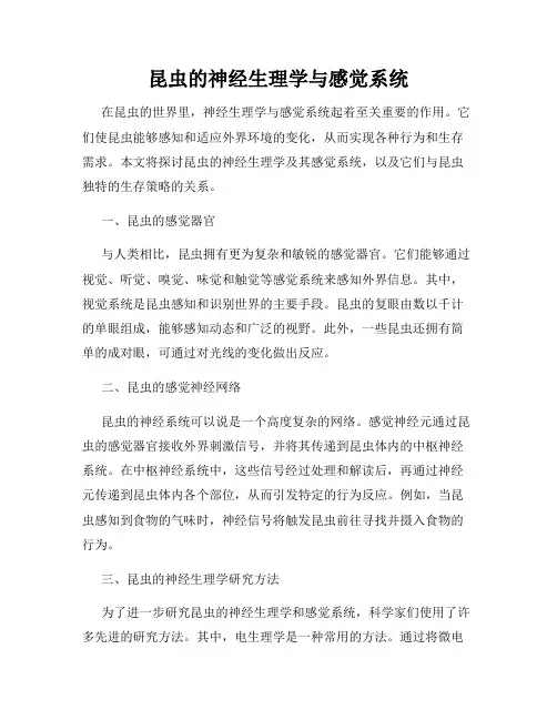 昆虫的神经生理学与感觉系统