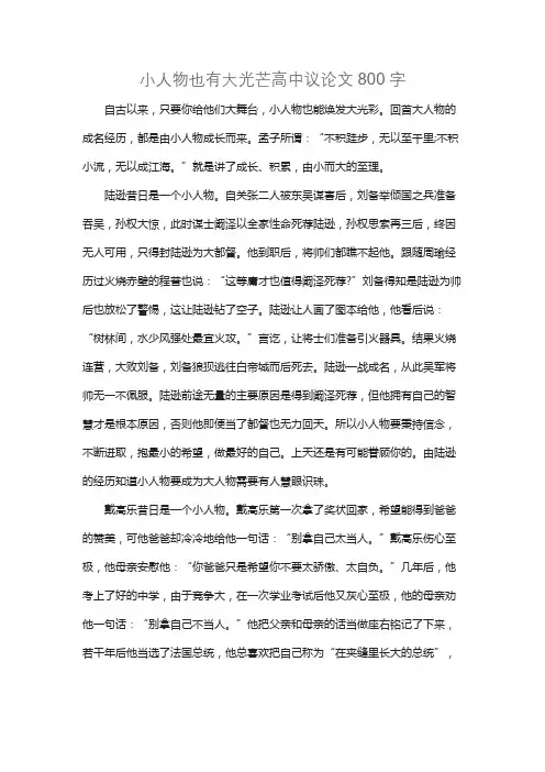 小人物也有大光芒高中议论文800字