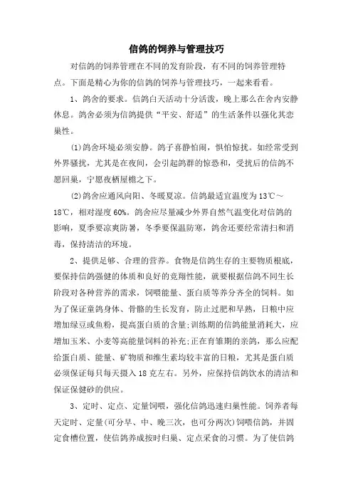信鸽的饲养与管理技巧