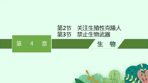 人教版高中生物学选择性必修3生物技术与工程精品课件 第4章第2节关注生殖性克隆人 第3节禁止生物武器