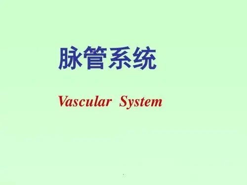 (医学课件)脉管学总论、心脏、动脉PPT演示课件