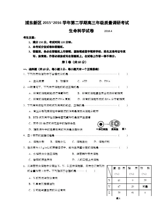 上海市浦东新区2016年高三第二学期质量调研测试(生物高考等级考二模)生命科学试题 含答案