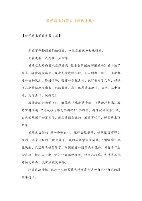 放学路上的作文(精选3篇)