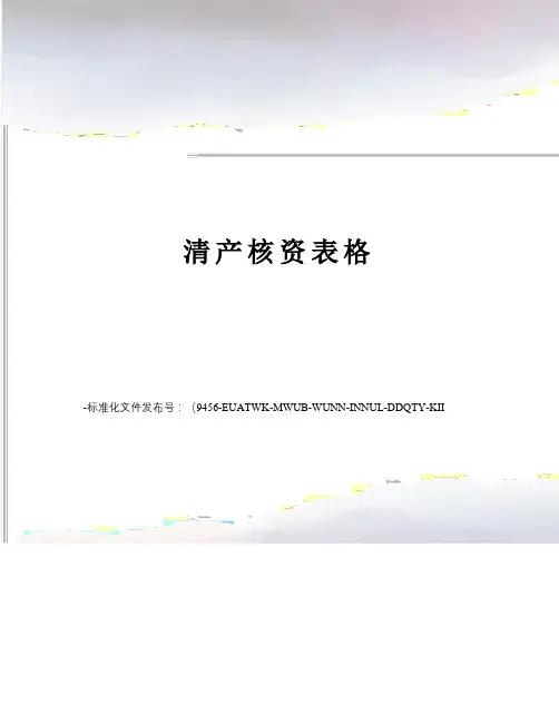 清产核资表格