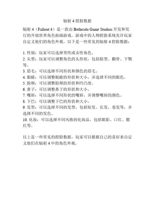 辐射4 捏脸数据
