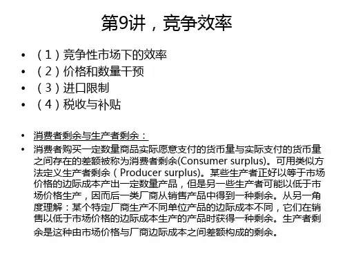 9竞争效率.pptx