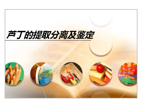 实验二2 芦丁的提取分离
