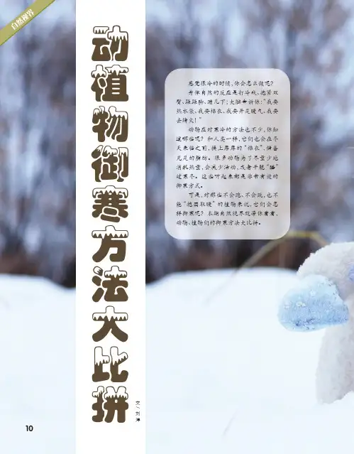 动植物御寒方法大比拼