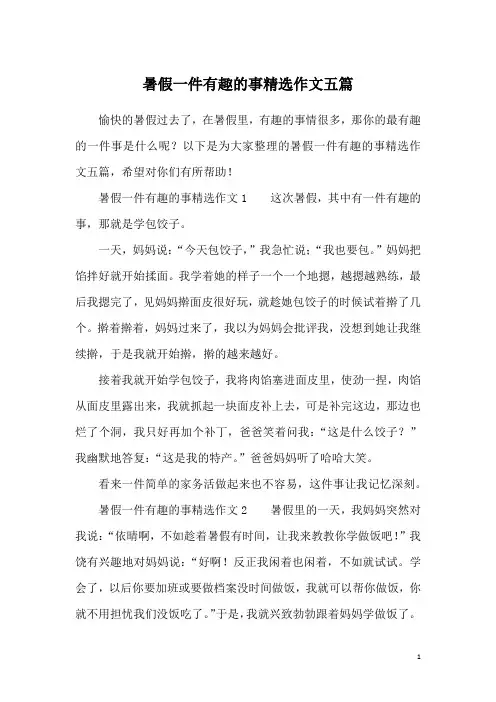 暑假一件有趣的事精选作文五篇