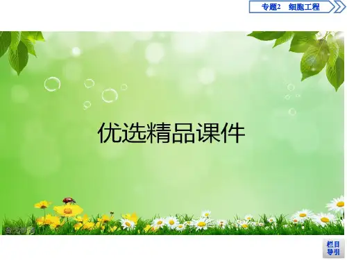 高中人教版选修3 2.2.2 动物细胞融合与单克隆抗体 课件(50张)