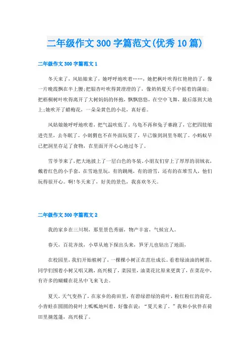 二年级作文300字篇范文(优秀10篇)