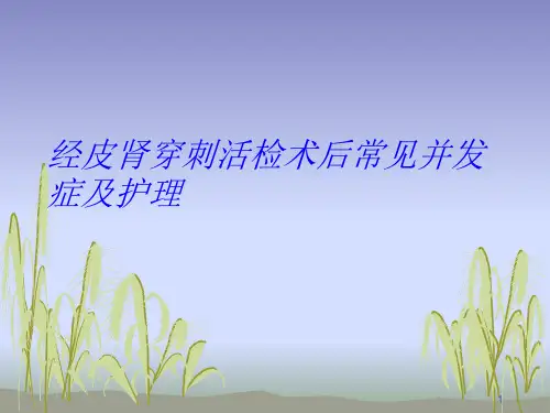 经皮肾穿刺活检术ppt课件