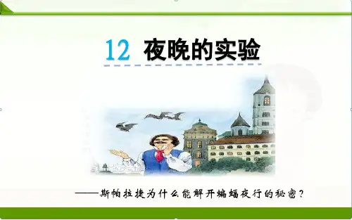 苏教版小学语文六年级下册课件：12夜晚的实验课件