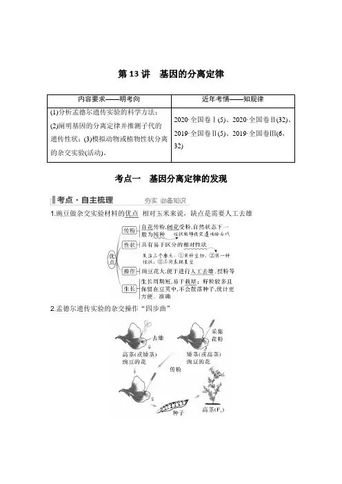 高一生物必修2第13讲 基因的分离定律
