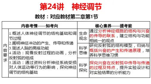 2023届高三一轮复习生物：第24讲 神经调节课件