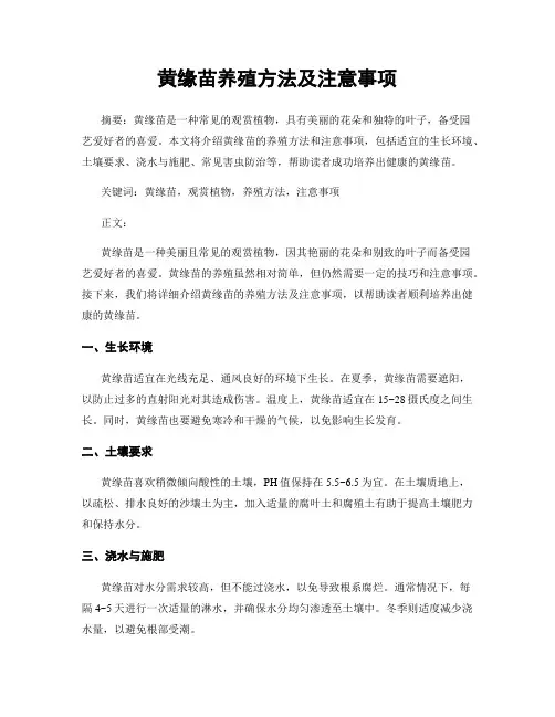黄缘苗养殖方法及注意事项