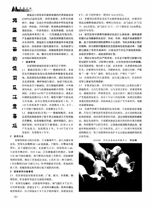猪瘟疫苗的使用及注意事项