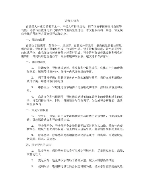 肾部知识点