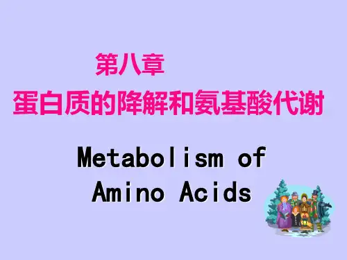 第八章氨基酸代谢