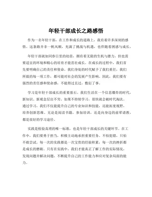 年轻干部成长之路感悟