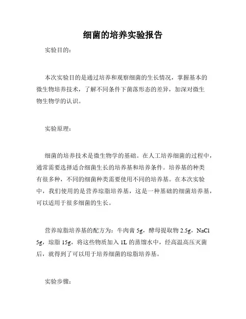 细菌的培养实验报告