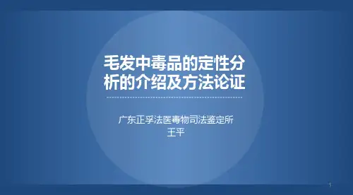 毛发毒品分析论证PPT参考幻灯片