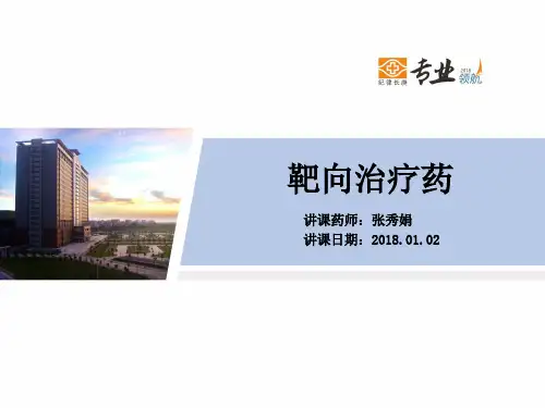 靶向治疗药讲课内容说明书