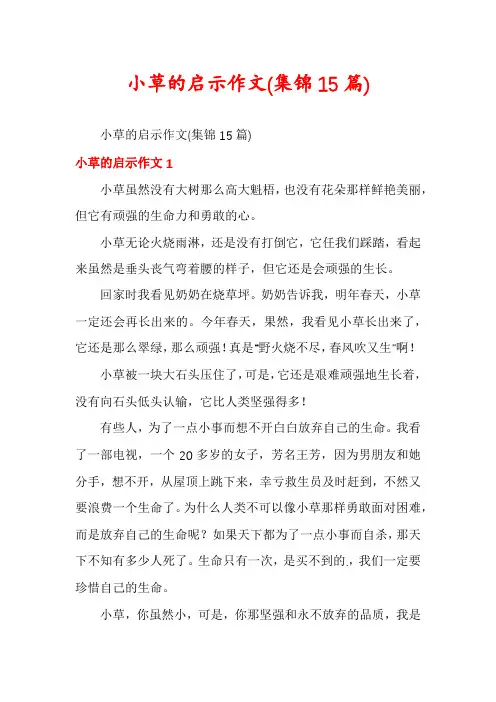 小草的启示作文(集锦15篇)