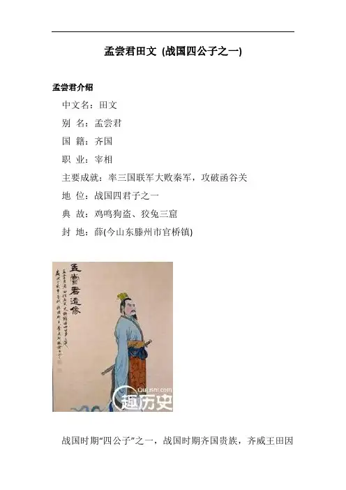 孟尝君田文 (战国四公子之一)