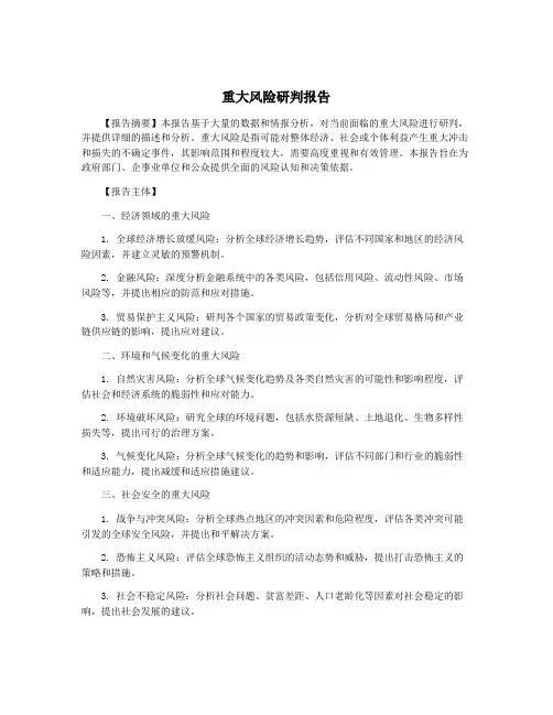 重大风险研判报告