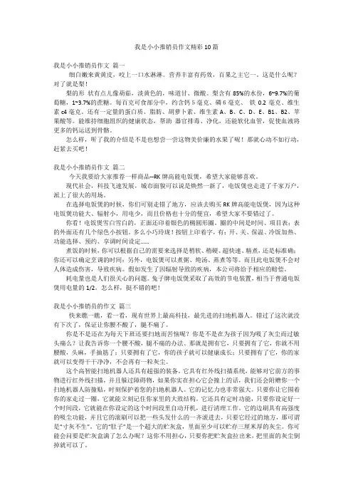 我是小小推销员作文精彩10篇