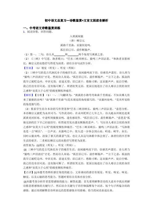 初中语文总复习--诗歌鉴赏+文言文阅读含解析