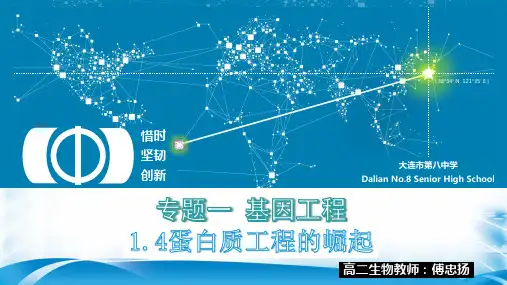 人教版生物选修3专题1、4《蛋白质工程的崛起》名师课件(共17张PPT)(最新版推荐下载)