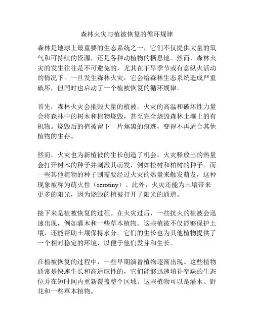 森林火灾与植被恢复的循环规律