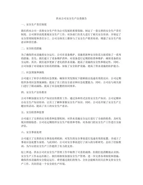 供水公司安全生产自查报告