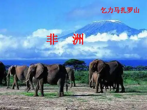 高中地理优质课件【非洲】