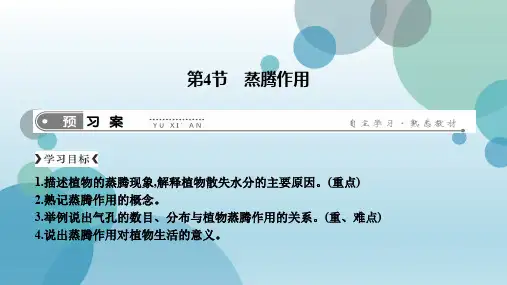 北师大版七年级上册生物课件：3.5.4 蒸腾作用(共11张PPT)