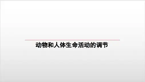 高考生物一轮复习PPT优质课件： 第3讲 神经调节ppt